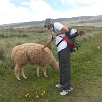 Fotos de Andrés Domínguez