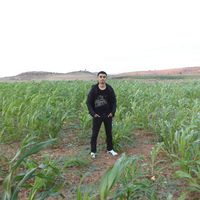 mohamed bentaleb的照片