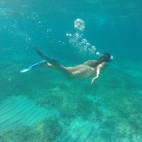 Yasmin Aoyama的照片