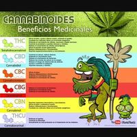 Фотографии пользователя Andres Pura vida