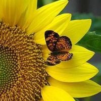 Evelyn Riascos's Photo