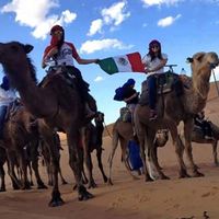 the magic of morocco's Photo