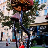 Martucha Antosik的照片