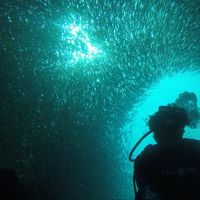 Kenthz San Diego's Photo