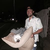 curtis  cooke的照片