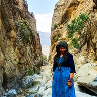 Tayebeh Tazh的照片