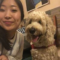 Ann Sanbongi's Photo