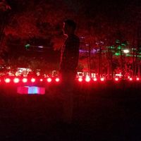 John Navarro的照片