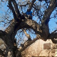 Emiliano Gonzalez's Photo