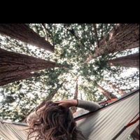 Arefe Maghsoudi's Photo