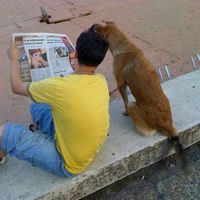 Andrei Cimpoeru's Photo