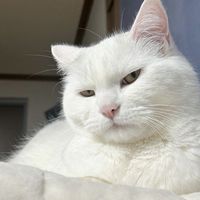 Fotos de Kawtar Mouad