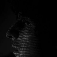 Matthias Hölbling's Photo