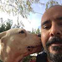 Ufuk Tekbas的照片