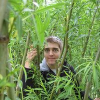 Fotos von David Tremblay Deschêne