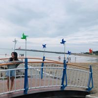 Allison Ch'ng的照片