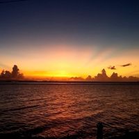 Makoto Joshua Pittman的照片