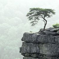 Jane Truong的照片