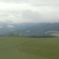 Amir Hosseini's Photo