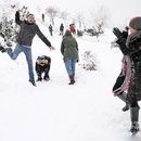 برف بازی مشهد的照片