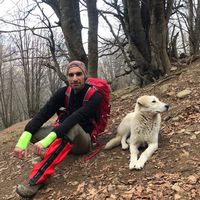 Nima Shafiei's Photo