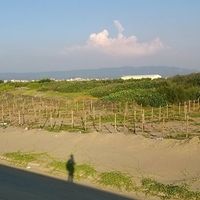 Jing-Jie Weng's Photo