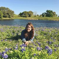 Claire Cummings的照片