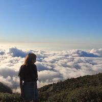 Zdjęcia użytkownika tamar T