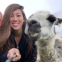 Hannah Wilson的照片