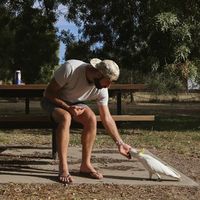 Seb Morrison's Photo