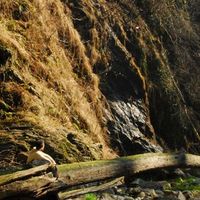 Daniele Greco的照片