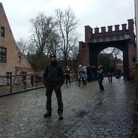 Michele Tasselli's Photo