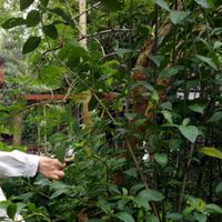 Lương Y Đoàn Văn Khanh的照片