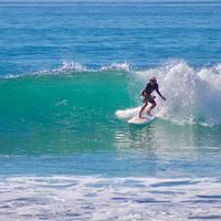 Marshall Ellingson的照片