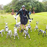 Christophe  Hermann's Photo