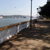 Shaheen Rizvi's Photo