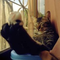 Chatchaya Jar的照片