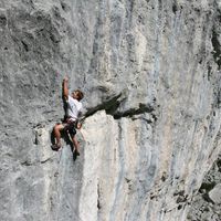 Felix Heinz的照片