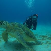 Daniel Tolksdorf的照片