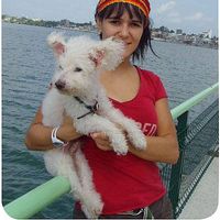 Fotos de Jimena Rebolledo