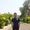 safiullah ahmadzai's Photo