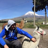 Leao Torres的照片