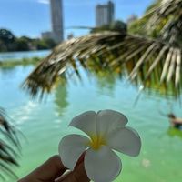 İrem Tombak的照片