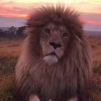 Lorea Estala的照片