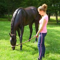 Stéphanie Maisson's Photo