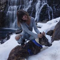 Fotos de Sílvia Pon