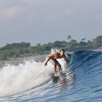 Thiago Araújo的照片