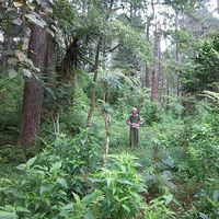 forester Westerweld's Photo