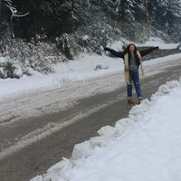 Le foto di Ivi Berman