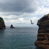 Bara Primario的照片